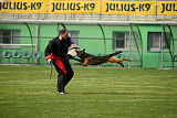 Bak Malinois of Sprajc