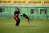 Bak Malinois of Sprajc