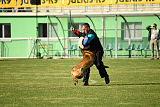 Al Campo Graf Czech
