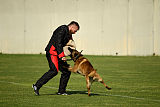 Al Campo Graf Czech
