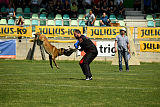 Al Campo Graf Czech