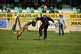 Al Campo Graf Czech