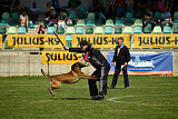 Al Campo Graf Czech