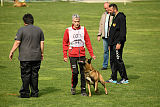 Al Campo Graf Czech
