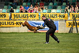 Bouí z Údolí Jizery