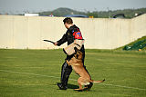 Looker Mi-Ji