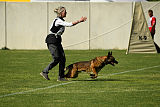Parendo Vinces Captain Koons