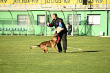 Parendo Vinces Captain Koons