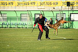 Parendo Vinces Captain Koons