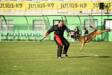 Parendo Vinces Captain Koons