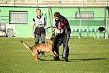Parendo Vinces Captain Koons