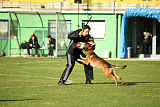 Parendo Vinces Captain Koons