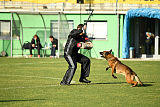 Parendo Vinces Captain Koons