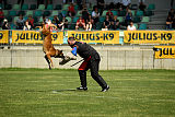 Kiirastulen Armas