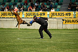 Kiirastulen Armas
