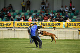 Kiirastulen Armas