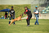 Conan vom Clan der Wölfe