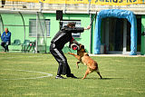 Dragon Veranis K-9 Dog Center