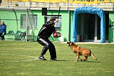 Dragon Veranis K-9 Dog Center