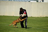 Dragon Veranis K-9 Dog Center