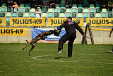 Atas of Hungarian Working Dogs