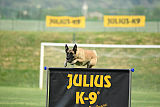 Orkina Flag-Tail