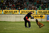 Axel Marshall Dogs