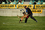 Delia Force Canina