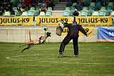 Delia Force Canina