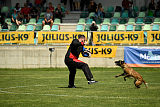 Delia Force Canina