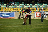 Erkan Arcanis