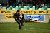 Erkan Arcanis