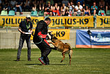 Aramis Red Devils Dog