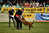 Aramis Red Devils Dog