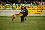 Aramis Red Devils Dog