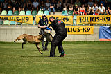 Aramis Red Devils Dog