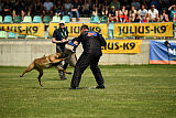 Aramis Red Devils Dog