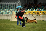 Aramis Red Devils Dog