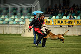 Aramis Red Devils Dog