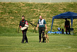 Aramis Red Devils Dog