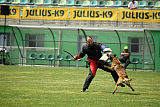 Aramis Red Devils Dog