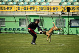 As'Thor Force Canina