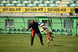 As'Thor Force Canina