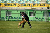 As'Thor Force Canina