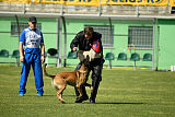 As'Thor Force Canina