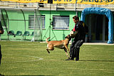 As'Thor Force Canina
