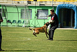 As'Thor Force Canina