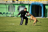 As'Thor Force Canina
