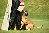 As'Thor Force Canina