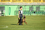 Waild Marinchuk K-9